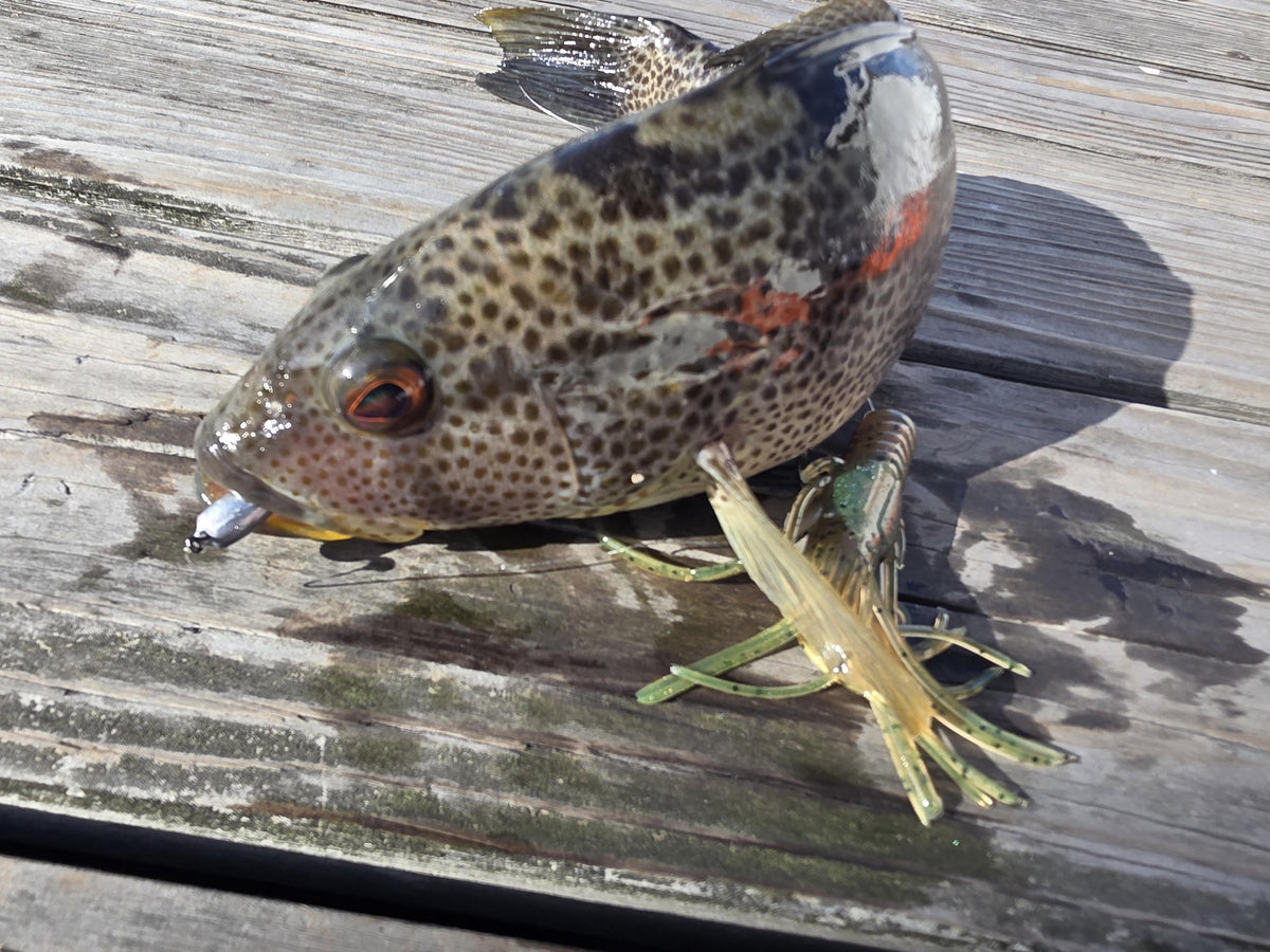 Kraken Tube Baits - Squid Egi Jig, Lifelike Tentacles | Octopus Lure for Calico Bass, Lingcod | Handmade Saltwater Bait | Wet Bandit Baits