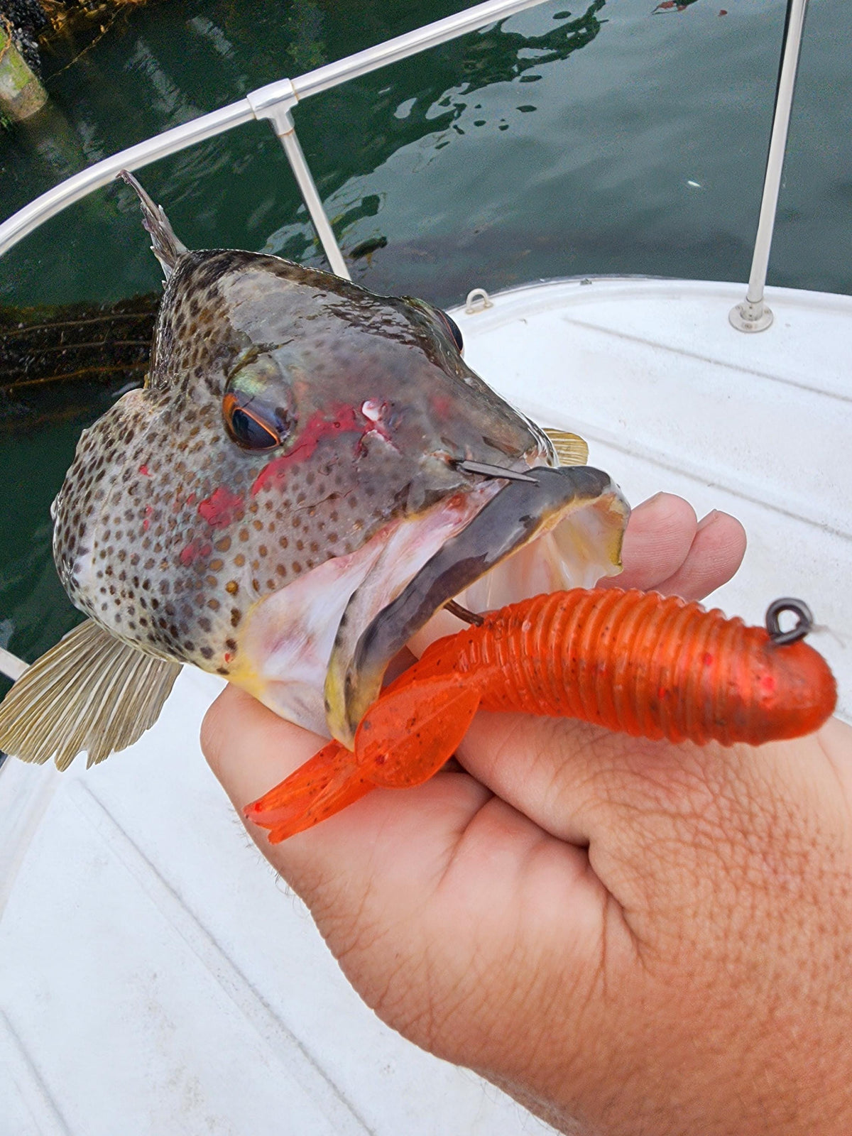 Saltwater Tube Baits Click Craw
