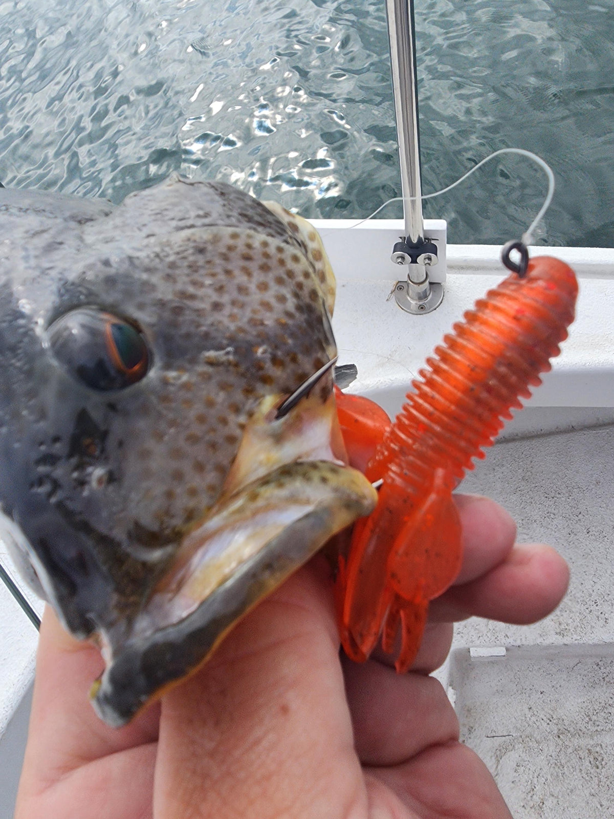 Saltwater Tube Baits Click Craw