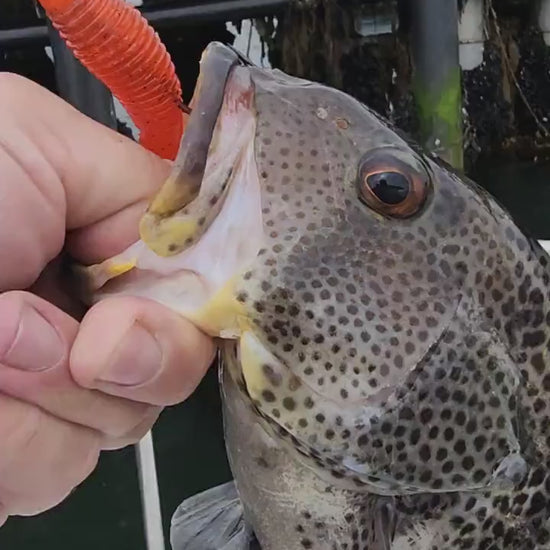 Saltwater Tube Baits Click Craw