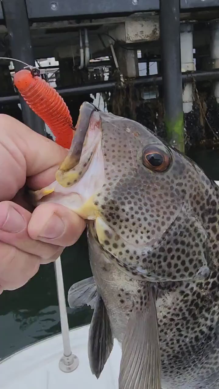 Saltwater Tube Baits Click Craw